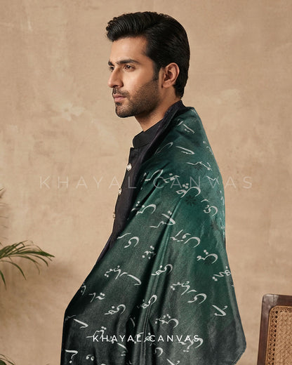 Jaun Eliya Velvet Stole | Green
